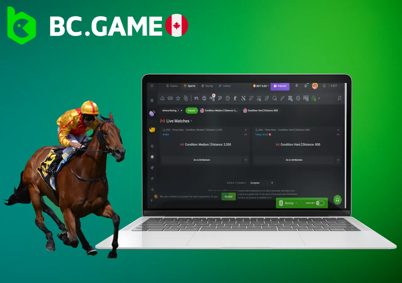 Betting on horse racing - entertainment for real enthusiasts