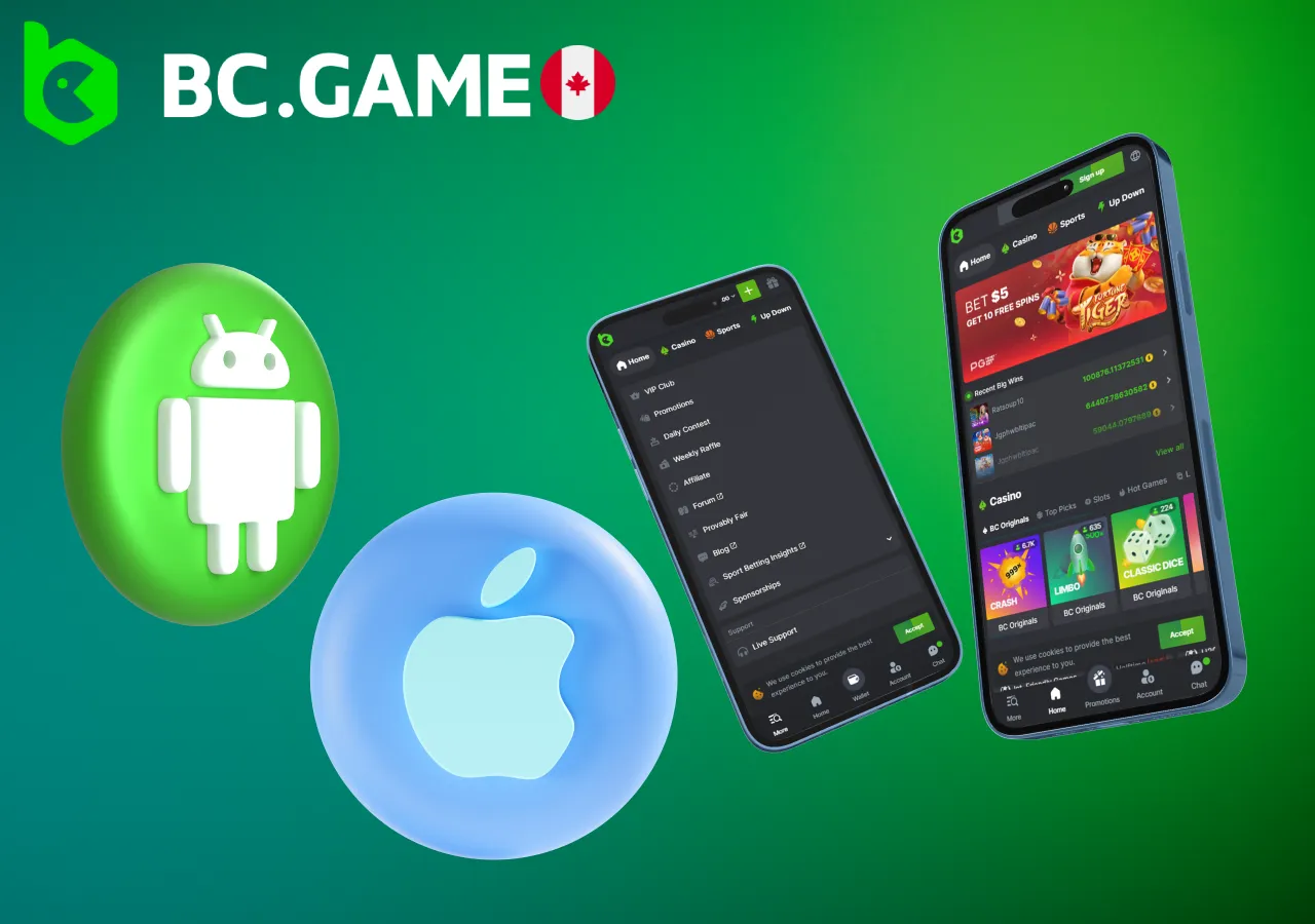 Download the BC.Game mobile app to have seamless access to games and betting at any time